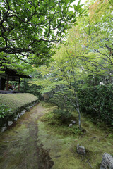 妙心寺塔頭桂春院の境内風景