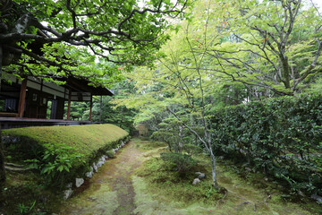 妙心寺塔頭桂春院の境内風景