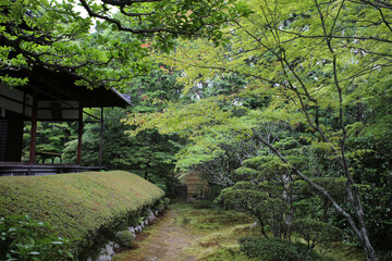妙心寺塔頭桂春院の境内風景