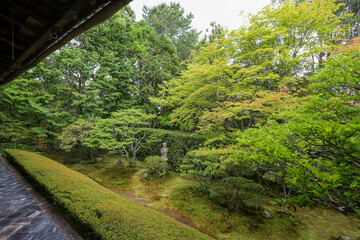 妙心寺塔頭桂春院の境内風景