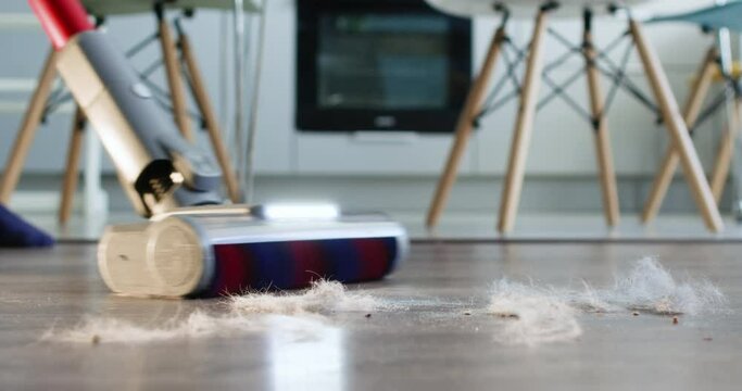 Man vacuums kitchen room to remove cat hair from carpets. Cat comes into room meowing for food. Cleaner and more hygienic living environment