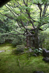妙心寺塔頭桂春院の境内風景