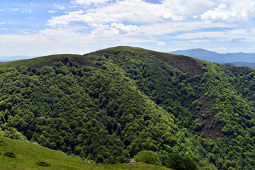 Beech forest on Mount Urkiolamendi (1008 m). Urkiola Natural Park. Basque Country. Spain