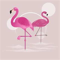 Pink Flamingo Bird Illustration Vector Design