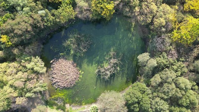 African Lake At Rustenburg In North West South Africa. African Animals Landscape. Pilanesberg National Park. Rustenburg At North West South Africa. Big Five Animals. Wildlife Safari.