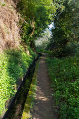 Madeira - Levada Wanderung bei Referta
