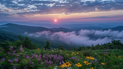 majestic sunrise over misty mountains with vibrant wildflowers in foreground