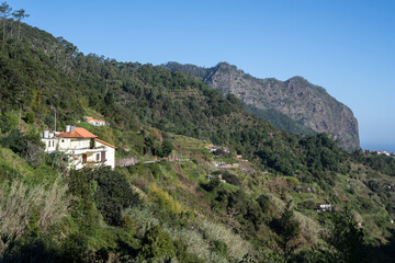Fototapeta premium Madeira - Levada Wanderung bei Referta