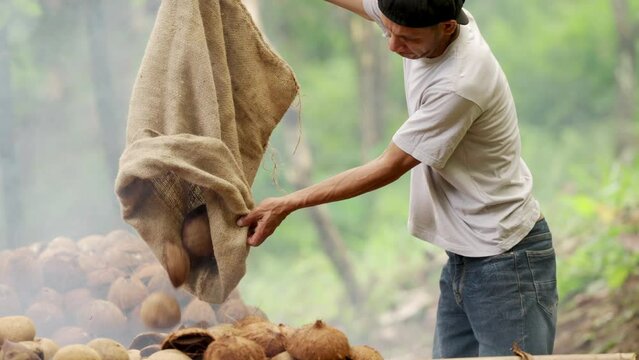 Smallholder farmer smoke drying coconut kernels, traditional copra farming, rural lifestyle