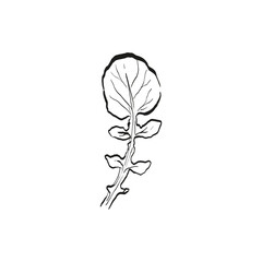 Botanical drawing. Minimal plant logo, botanical graphic sketch drawing,  meadow greenery, leaf and blooming flower abstract sketch element collection, rustic branch. Trendy tiny tattoo design, floral