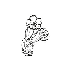 Botanical drawing. Minimal plant logo, botanical graphic sketch drawing,  meadow greenery, leaf and blooming flower abstract sketch element collection, rustic branch. Trendy tiny tattoo design, floral