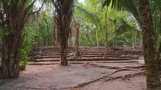 Steps platform preserved from upper-class residences Mayan and now covered with vegetation, Chacchoben, Costa Maya