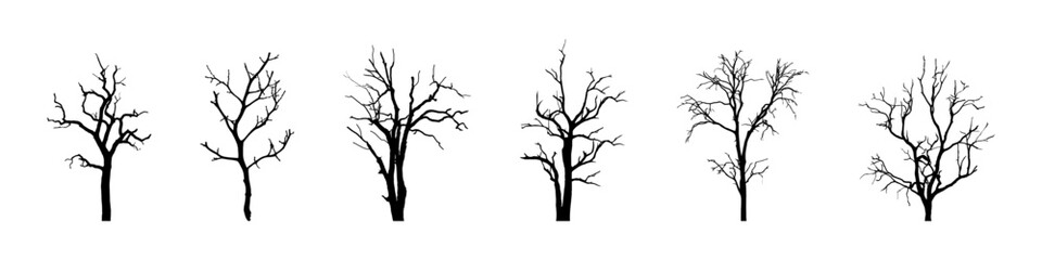 Tree silhouette vector set. Trees graphic flat collection.