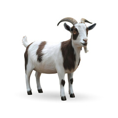 Fototapeta premium 3d realistic Horn Goat on transparent background, best islamic festival eid al adha goat