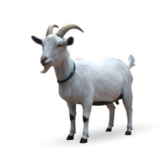 3d realistic Horn Goat on transparent background, best islamic festival eid al adha goat