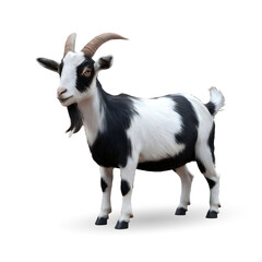 3d realistic Horn Goat on transparent background, best islamic festival eid al adha goat