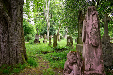 Old weathered cemetery with gravestones that are at least 130 years old