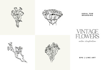 Botanical, Minimal plant flower, hand drawn sketch drawing,  vector illustration