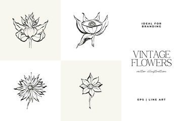 Botanical, Minimal plant flower, hand drawn sketch drawing,  vector illustration