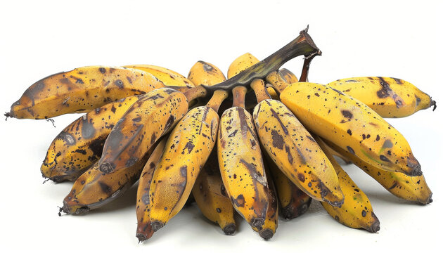 Eye-level angle shot of a cluster of burro bananas, isolated on a pure white background, vibrant and fresh, high resolution, showcasing natural imperfections and color variations