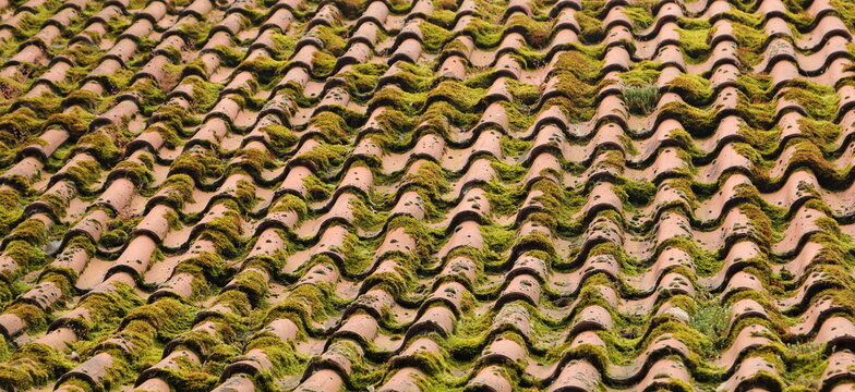 an old mossy tiled roof