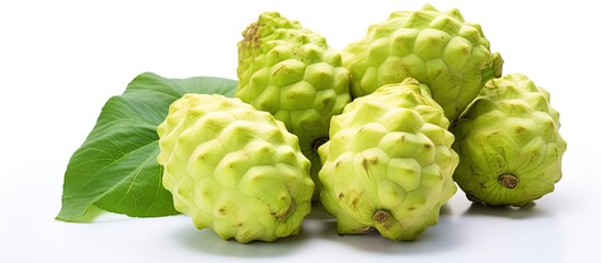 Fototapeta premium Copy space image of a white background with Noni fruit
