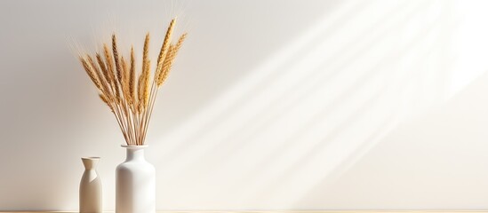 A minimalistic home decoration with a bottle displaying a bouquet of wheat spikelets on a table The light casts strong shadows emphasizing the empty white frame for text Perfect for showcasing a copy