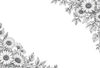 A floral border with black outline drawings of daisies and vines on a white background
