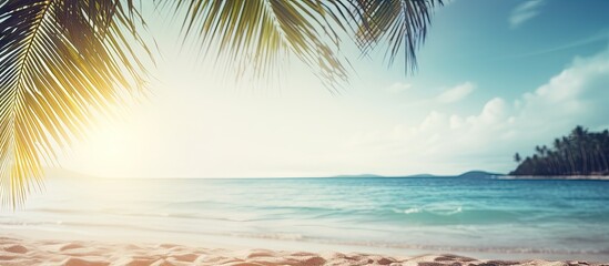 A blurred image of a sandy beach with palm trees in the background evoking a tropical atmosphere Ideal for summer vacation and travel themes with room for text. with copy space image