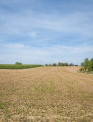Obraz premium Plowed field in spring, vertical photo. In spring