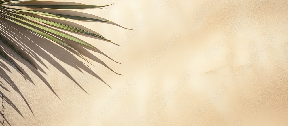 Aufkleber the top down view of a banner shows the shadow of a palm leaf on the sandy surface providing ample c