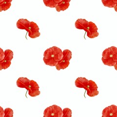 Seamless pattern with watercolor red poppy flowers on white background 