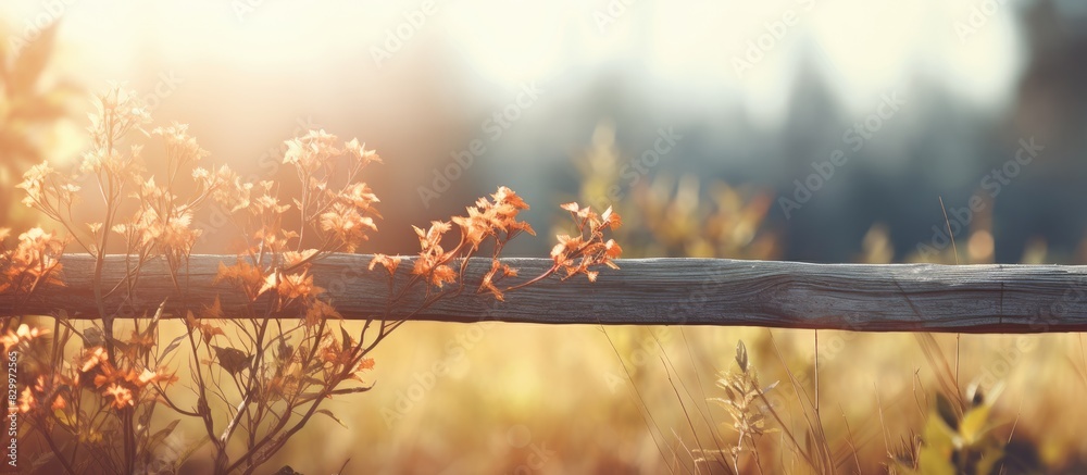 Aufkleber The background of the image is a blurred nature scene with a fence in the foreground leaving empty space for text or other elements. with copy space image. Place for adding text or design