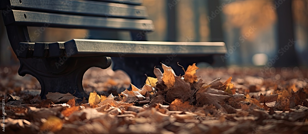 Poster a wooden bench covered with dead leaves providing an empty space for a copy space image