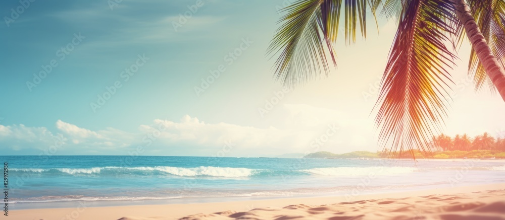 Poster a blurred image of a sandy beach with palm trees in the background evoking a tropical atmosphere ide