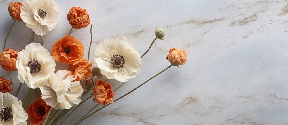 Poster An overhead shot of dry poppy heads resting on a marble background with ample copy space