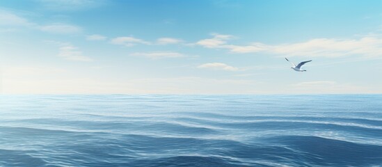 Fototapeta premium Oceanic waterfowl gracefully gliding through the vast expanse of the sea surrounded by serene copy space image