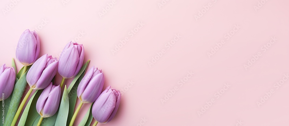 Poster a flat lay copy space image featuring delicate pink tulips arranged on a pastel violet background pe
