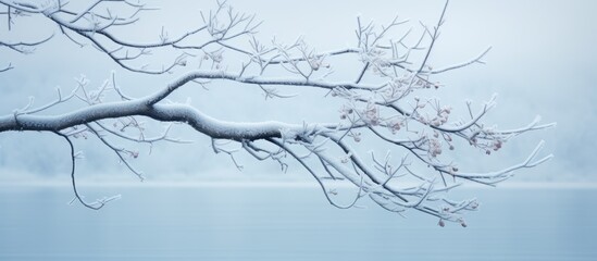 Fototapeta premium In winter a branch covered in ice stands stark and motionless The wintry scene offers a compelling copy space image