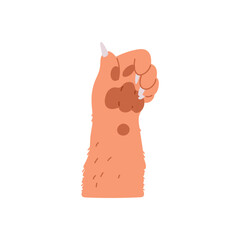 Vector illustration on a white background a dog's paw with a thumbs-up gesture