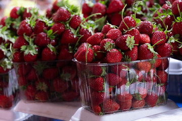 Freshly packaged strawberries from the market