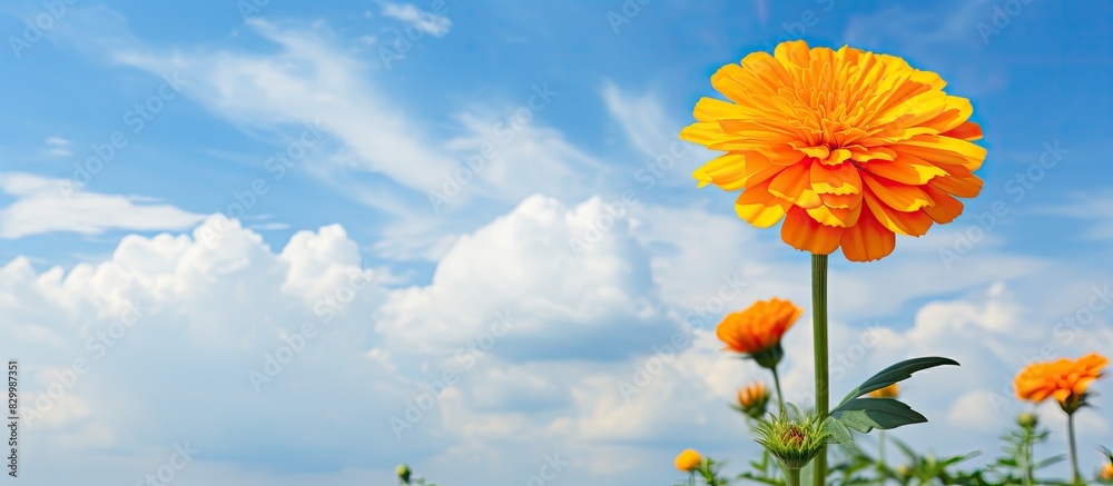 Poster a beautiful marigold yellow color stands out against a captivating backdrop of a sky with clouds lea