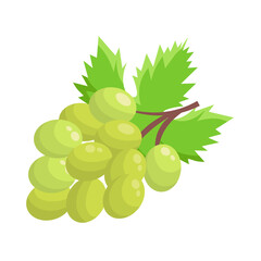 Vector grape illustration. Bunch of grapes with leaf. Grapes with green leaves on white background. Sketch of grapes for design of business cards and invitations