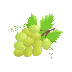 Vector grape illustration. Bunch of grapes with leaf. Grapes with green leaves on white background. Sketch of grapes for design of business cards and invitations