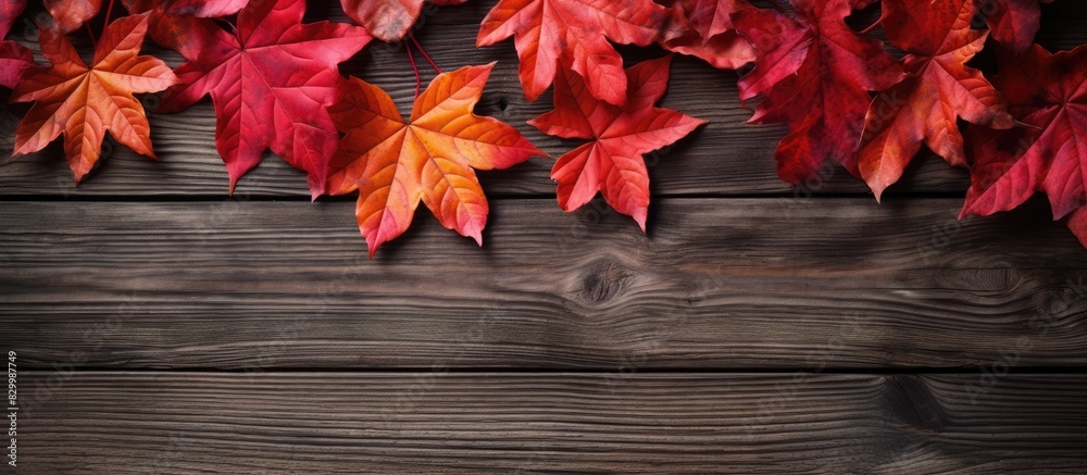 Poster autumn leaves in red hues surround a wooden surface creating a beautiful composition perfect as a co