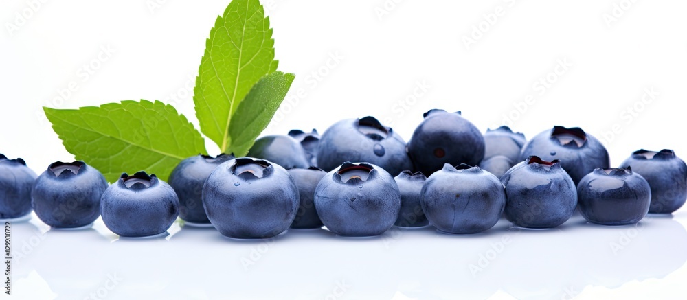 Poster Closeup of fresh blueberries and melissa leaves standing alone on a white background in a clear and focused image with plenty of space for adding text or graphics. with copy space image