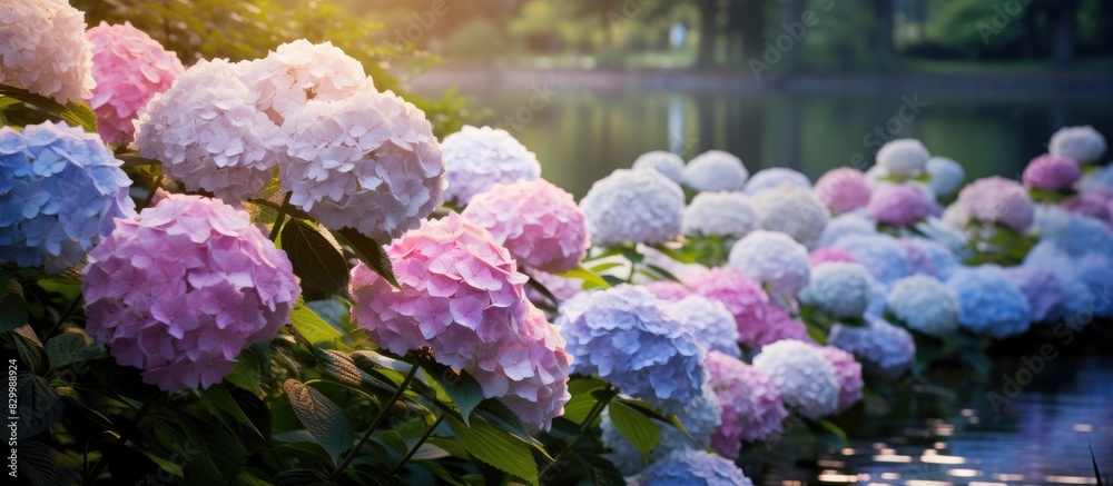 Poster copy space image of blooming hydrangeas and a pond in a scenic park