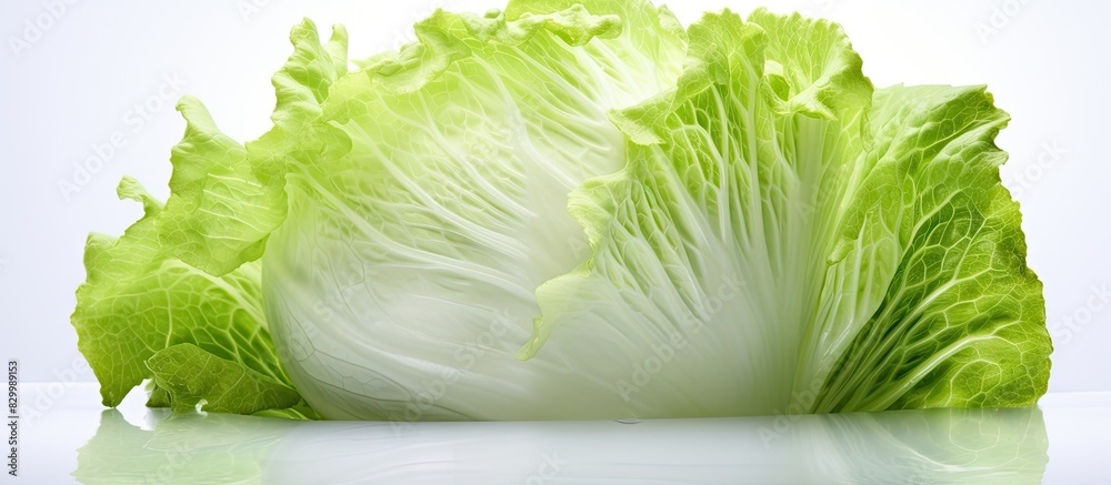 Poster An image of an iceberg lettuce with a white background providing ample copy space for additional content
