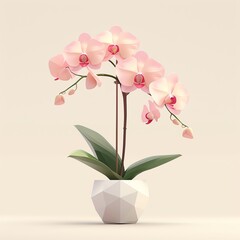 A single pink orchid plant in a white geometric pot, isolated on a light background.