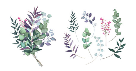 Watercolor leaf. Eucalyptus branch, nature wedding greenery, thyme green decoration elements, trees leaves. Botanical isolated 3d objects. Elegant floral composition. Vector rustic decor set
